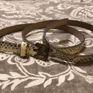 Banana Republic Snakeskin Skinny Belt